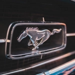 Стильная эстетика дикого запада в дизайне Mustang Gold